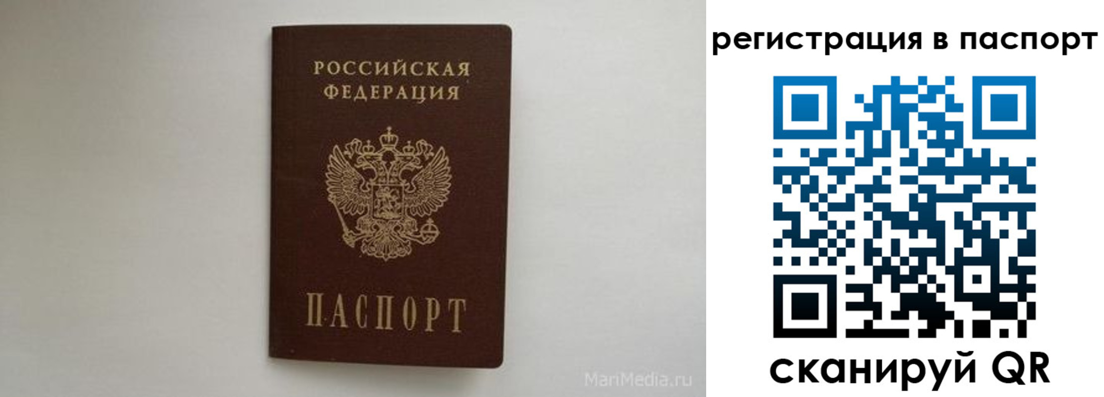 прописка в Сосновоборске